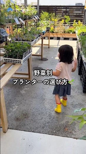 野菜別🌱プランターの選び方