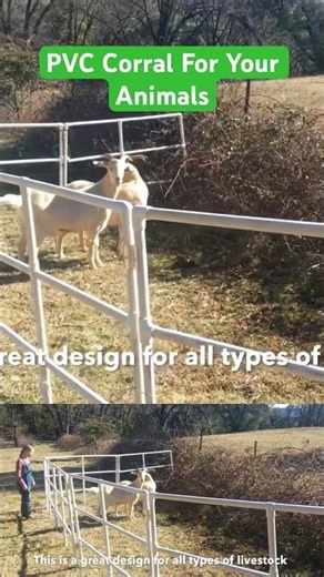 The Portable PVC Corral - Goats and Cows