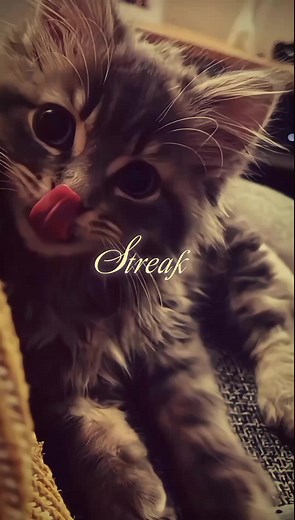 Streak API aesthetic: best fire streak effects
