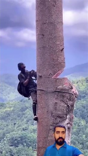 Expert Chainsaw Skills for Cutting Tree Tops 🌳🪚