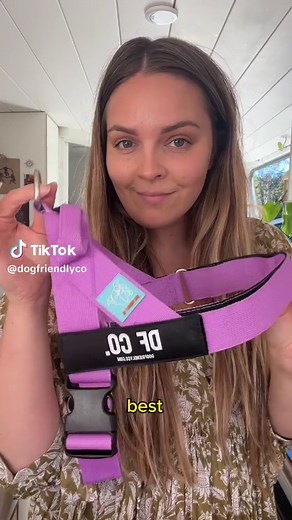 How to Properly Fit Your Dog Friendly Co Harness