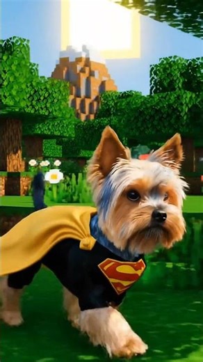 Super Yorkie Trip in Minecraft World