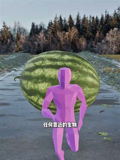 有一种瓜叫做全险半瓜！#动画还原 #原创动画 #分享