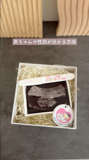 妊娠6週で性別がわかる🪄