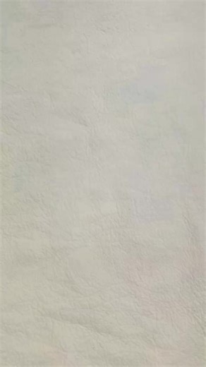 Elegant Lace Neckline Design for Kurtis