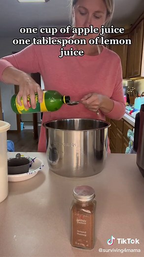Homemade Instant Pot Applesauce Recipe