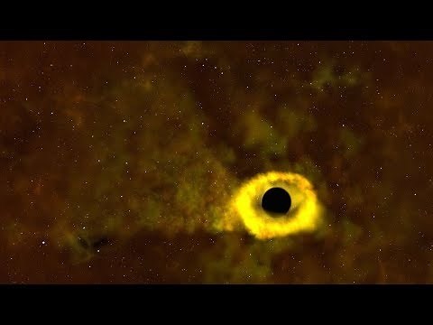 TESS Catches its First Star-destroying Black Hole