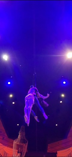 What do you like to do in your free Time? To train! #Straps #Duo #StrapsDuo #CircusDuo #Couple #Partner #AerialDuo #Tricks #duoaerialstraps #DUOVIRTUS