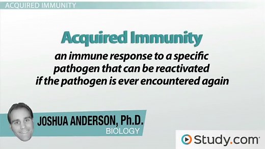 Acquired Immunity: T Cells, B Cells and Antibodies