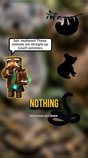 How These Animals Literally Hacked the Life Grind! 🐨🍂#wildlife #animalfacts #lazyanimals