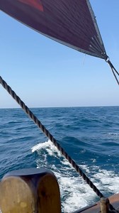 Das Skagerak ist zwar sonnig, aber ruppig, mit Böen von über 30 Knoten. Weiße Schaumkronen tanzen auf den Wellenkämmen, der Seegang hat sich im Laufe des Tages bis zu 1,80 Meter aufgebaut. Das Groß zweimal gerefft und unter Fock und Klüver laufen wir um die 6 Knoten - Rauschefahrt für die Dagmar Aaen. Über Skagen geht es in den kleinen Hafen Strandby. Hier schließt sich der Kreis. Es beginnt die letzte Etappe durch die vertraute Ostsee. Am kommnden Samstag wollen wir im Flensburger Museumshafen 