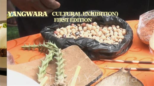 🌿 Did You Know? — The Early History of the Yangwara Community Did you know? The Yangwara community holds a unique and proud place in the history of Central Equatoria and South Sudan. Here are some remarkable historical highlights: ✨ 1. The First to Welcome SPLM/A in Juba (2005) When the SPLM/A forces entered Juba following the Comprehensive Peace Agreement in 2005, the Yangwara traditional dance groups were among the first to receive and welcome them with cultural performances. Their dances sym