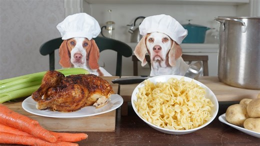 Chef dogs cook chicken noodle soup and taste-test