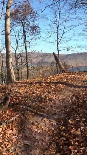 Allegrippis Mountain Bike Trails at Raystown Lake