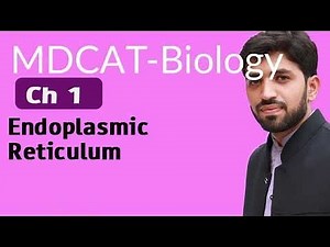 MDCAT Biology Ch 1 - Endoplasmic Reticulum - MDCAT Biology 2022
