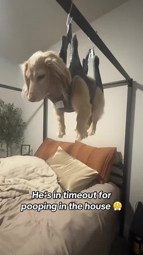 Air timeout 😭 @I Can’t Even (via:@princess peach) | pooping in a public bathroom fear