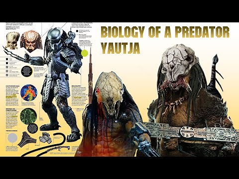 Origins, Biology And Life Cycle Of A Predator (Yautja)