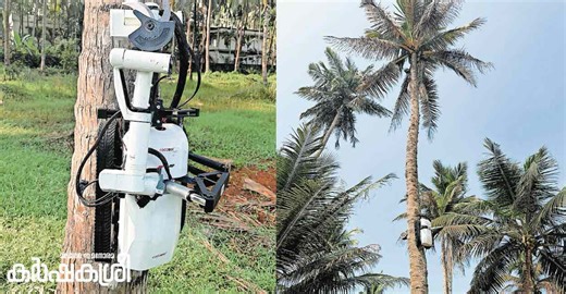 No one to climb coconut trees? Robot built by young innovators will do the harvesting