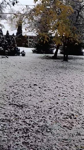 Snowing in Toledo | Norman Dixon