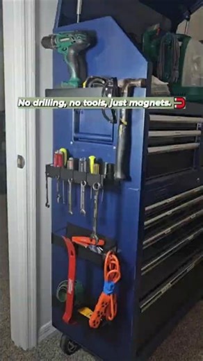 Can a magnet actually hold a hammer? 🤯🔨 #homeorganization #musthaves