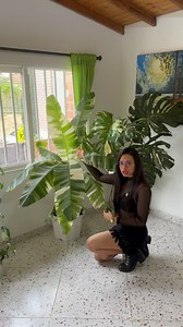 51K views · 6.4K reactions | Candy Bu on Reels | Facebook