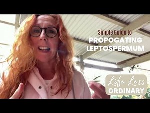 How to Propagate Leptospermum Cuttings 🌱 | Propagation for Frost-Prone Gardens Southern Highlands