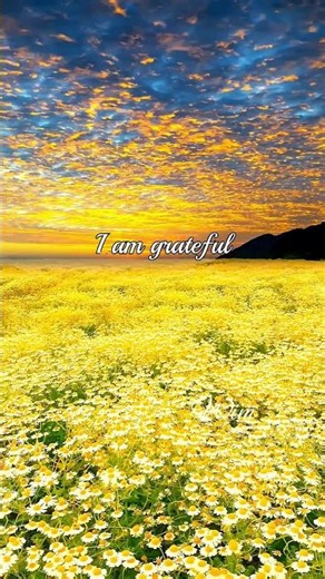 Money Affirmations That Work | Positive Affirmations, Wealth #affirmations #money