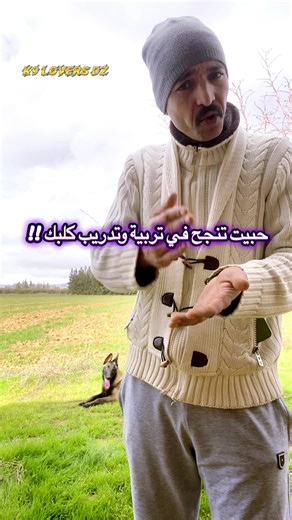 سر نجاحك في تربيتك وتدريبك لكلبك #أنت_افضل_مدرب_لكلبك #تدريب_كلاب #malinois #مالينوا #dog