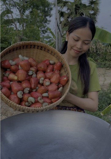 Cashew Fruit Harvesting Guide: Tips and Techniques