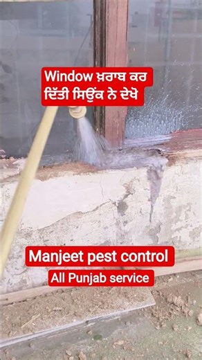 Deemak ka best treatment #deemakbestservice #termite