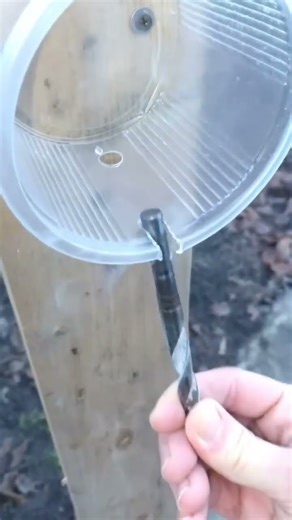 Making a Waterproof Outdoor Socket Box from a Plastic Cup #DIYElectric #shortvideo #fypシ
