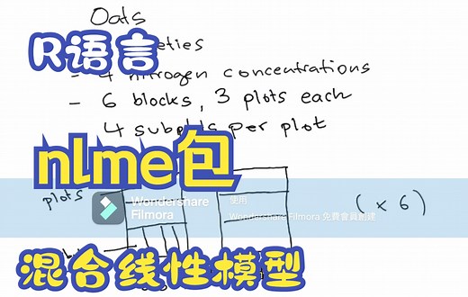 哥廷根大学教授混合线性模型实例讲解