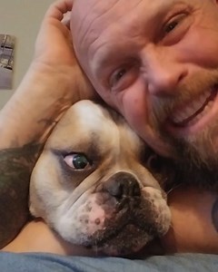 These animal videos are hilarious! 🤣 | Animal Antics