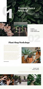 Plant Shop - HTML Template by Nicepage