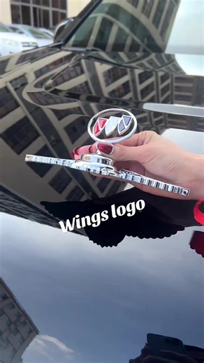 Exploring the Wings Car Hood Logo