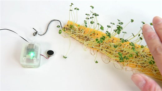 22K views · 167 reactions | Researchers in the College of Human...