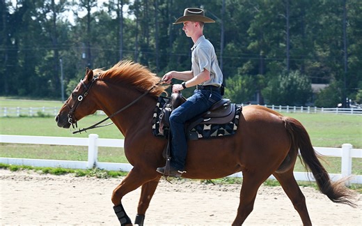 As St. Andrews University in NC struggles, its world-class equestrian program thrives