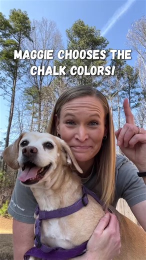 Chalk Art and Lettering Ideas with Help from a Good Dog