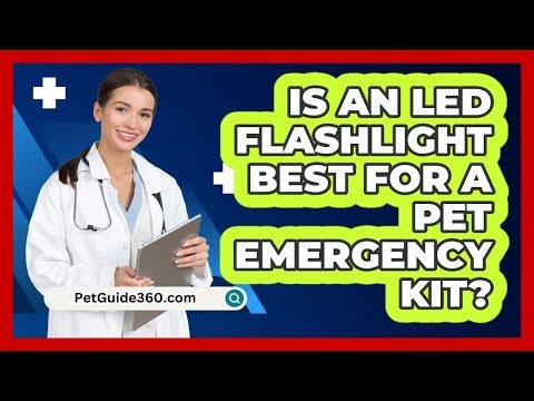 Is an LED Flashlight Best for a Pet Emergency Kit?
