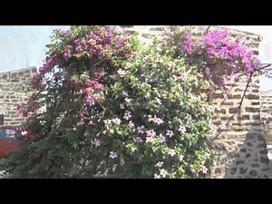 Ustica: kleine vulkanische Insel. Sizilien. Italien