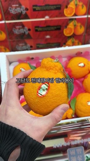 1월 29일 전까지 양주 푸르네마트 꼭 가야할 이유!