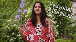 Do you suffer from allergies? Follow the dendritic cell and the entire Scientific American Allergy Orchestra to discover how allergens from pollen to pet dander can change the body's tune. Watch the full video: http://bit.ly/2slUY79 | Scientific American