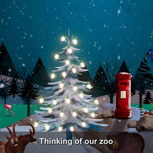 Wishing you a very merry Christmas and a wonderful new year! | Chester Zoo