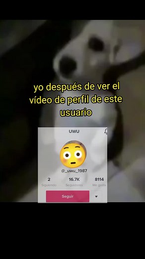 Perfil de Uwu1987: Descubre las historias y fotos reales de este usuario