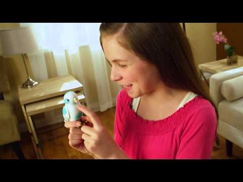 Little Live Pets Bird TVC