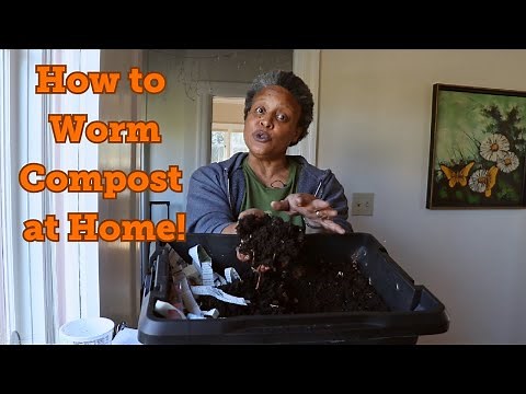 How To Worm Compost at Home!