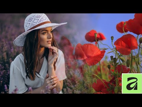 How to Combine Two Images Together in Affinity