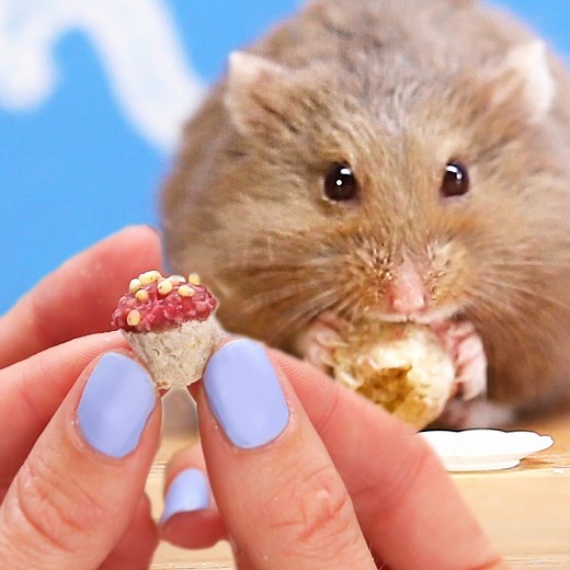 How to make tiny cupcakes for your hamster 🐹 | BuzzFeed Animals