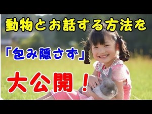 【動物と話す】これが基本的な動物と会話する方法！（アニマルコミュニケーション）
