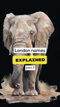 London Names Explained - part 7: Elephant & Castle, Air Street, Half Moon Street